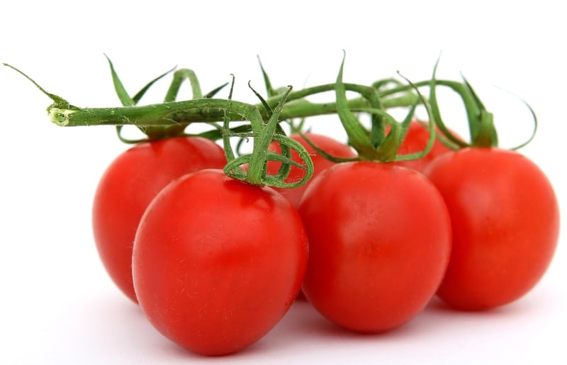 Organic Food Packaging